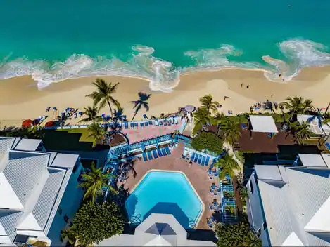 What To Do • In Paradise